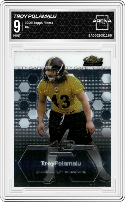 Troy Polamalu
