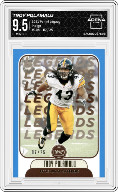Troy Polamalu
