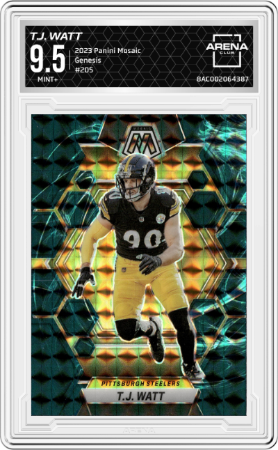 T.J. Watt