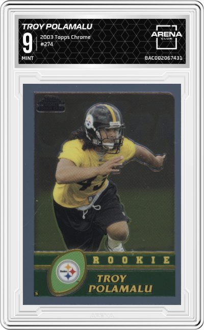 Troy Polamalu