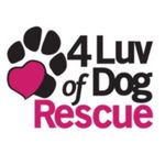 4 Luv of Dog Rescue