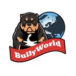 BullyWorld