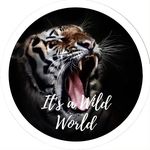 Animals Of The World