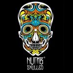 Numb Skulled