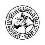 Caballos Árabes