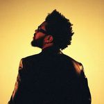 The Weeknd || Fan Page