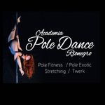 academia de pole dance