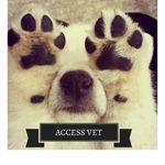 ACCESS VET