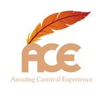 Amazing Carnival Experience