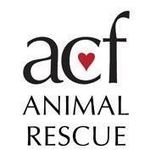 ACF Animal Rescue Official