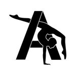 Acrobatic Arts Inc