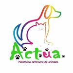 ASOCIACIÓN ACTÜA ANIMALISTA