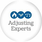 Adjusting Experts