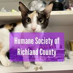 Humane Society Richland County