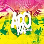 adoragroup adoragroup