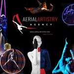 Aerial Artistry I Agency