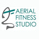 Aerial Fitness Studio