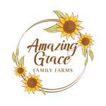 Amazing Grace Crop Maze