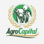 ⠀        AgroCapital®