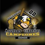 Aguiluchos.com