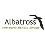 Albatross Birding in Chile