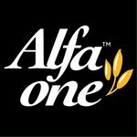 Alfa One Thailand