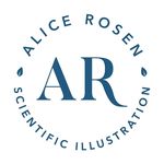 Alice Rosen