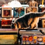 Alley Cat Vintage Mercantile