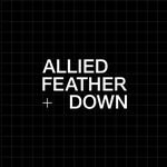 ALLIED Feather + Down