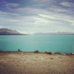 Mt Cook Alpine Salmon