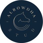 مربط الروضة alrowdha stud