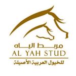 مربط الياه للخيول العربية