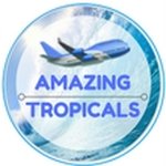 Amazing 🌴 Tropical 🌊 Travel