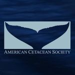 American Cetacean Society🐳🐬