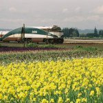 Amtrak Cascades