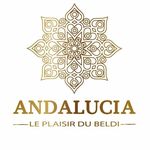 ANDALUCIA | BRAND✨🇲🇦