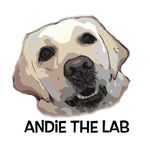 Deb || Andie & Abby the Lab