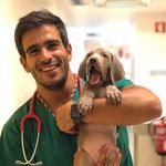 André Santos André Santos