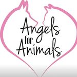 Angels For Animals Rescue