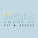 Angels Among Us Pet Rescue