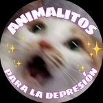 Animalitos para la depresión