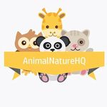 Animal & Nature Hq