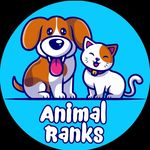 🐶 | Animal Ranks 🐈‍⬛