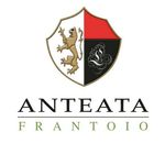 Anteata Frantoio