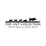 Ant's Nest & Ant's Hill