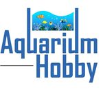 Aquarium Hobby