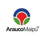 Arauco Maipú