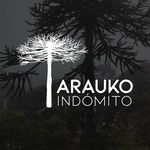 Arauko Indomito 🏞️