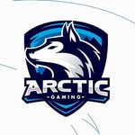 Arctic Gaming