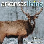 Arkansas Living Magazine